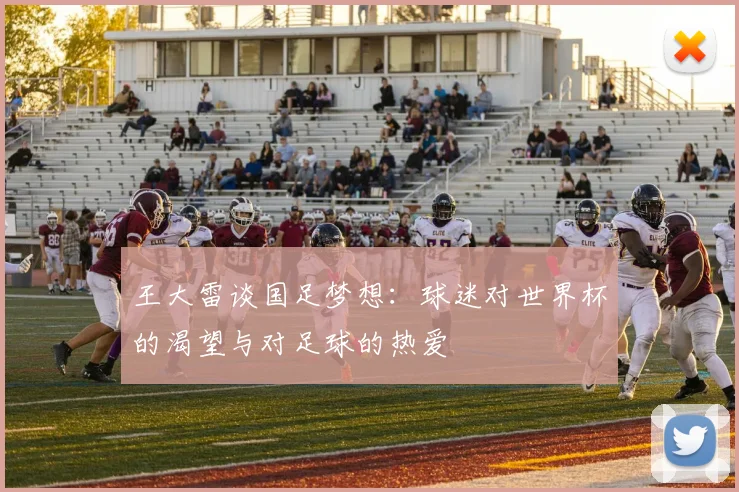 王大雷谈国足梦想：球迷对世界杯的渴望与对足球的热爱