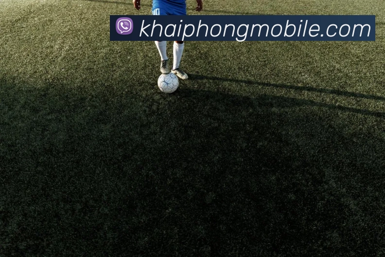 App Interface Preview